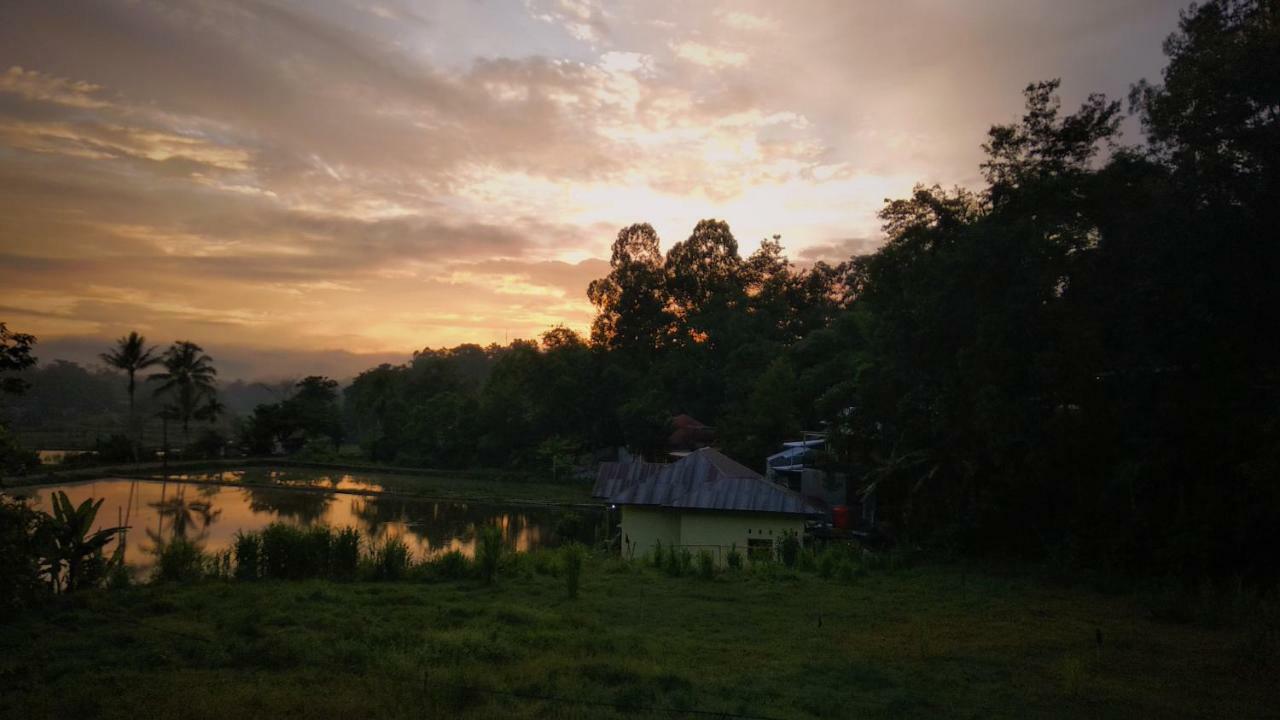 Mama Tia Family Homestay Rantepao Exteriér fotografie